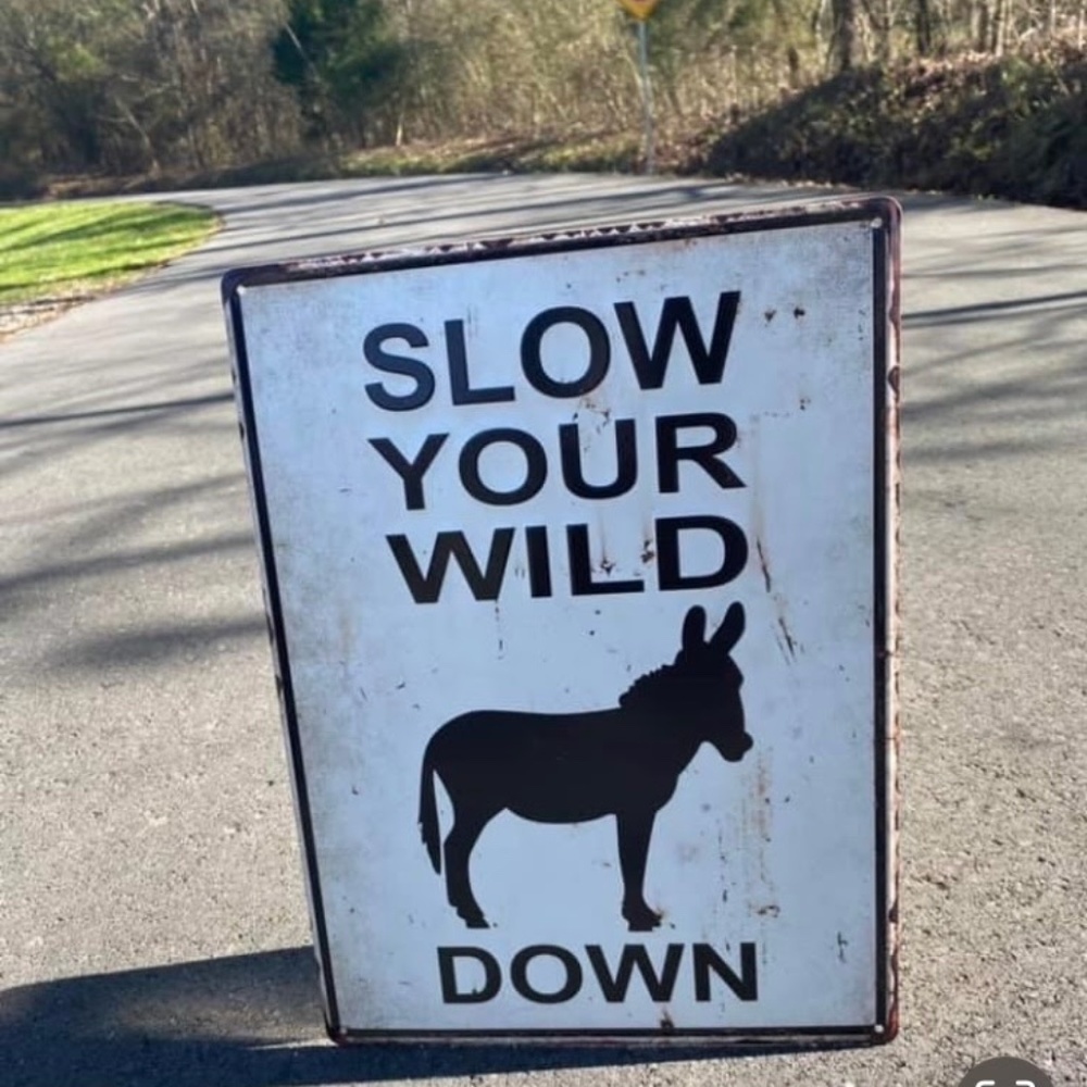 Whimsical Tin Sign- Slow your Wild A** Down